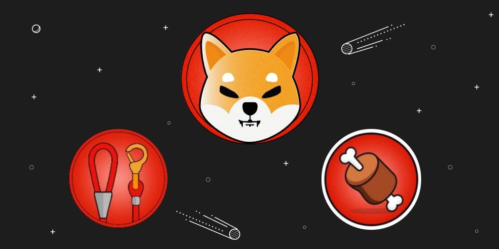 Bone Token Shiba